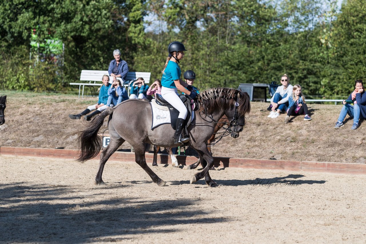 Bild 47 - Pony Akademie Turnier